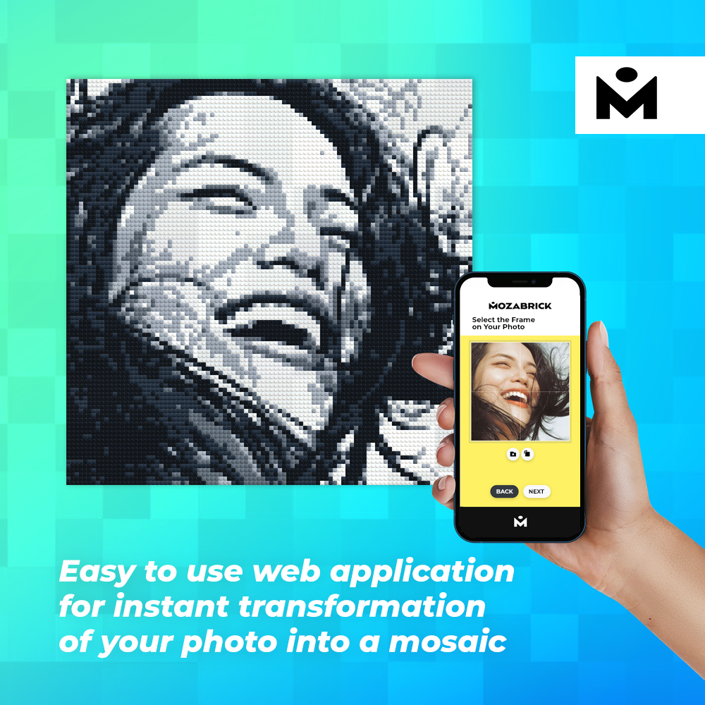 What is MOZABRICK?